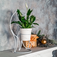 цветочница тигр