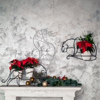 цветочница тигр цветочница тигр