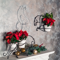 цветочница тигр