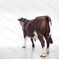 объемная фигура бык