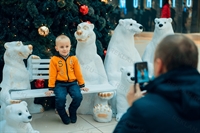 белые медведи для фотозоны