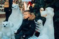 медведи для фотозоны