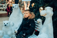 лавка с медведями