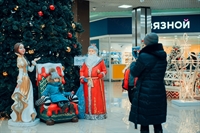 дед мороз и снегурочка