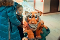 тигр символ 2022 года