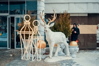 фотозоны на новый год