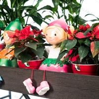 двухярусный стеллаж для цветов двухярусный стеллаж для цветов