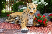 Лавка  Пума для вашего бизнеса