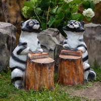 Лавка Еноты для рекламы