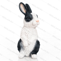 Символ 2023 года