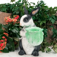 Оформление фотозоны