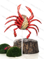 Краб для входной группы ресторана