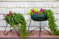 озеленение территории