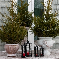 Вазон в ландшафте