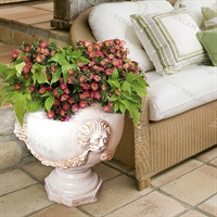 Декор интерьера