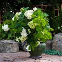 Вазон из стеклопластика