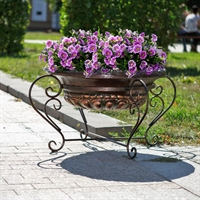 Вазон как элемент ландшафтного дизайна