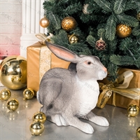 Символ 2023 года