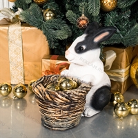 Символ 2023 года