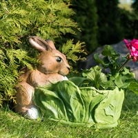 Кашпо Заяц с капустой