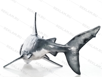 реклама океанариума