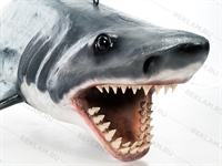 акула для рекламы бизнеса