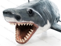 реклама бизнеса