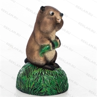 Декор территории