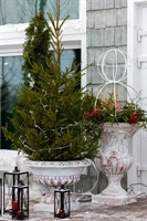 ландшафтный дизайн