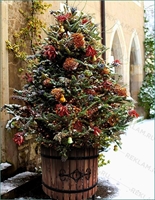 кадка из дерева