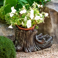 декор территории