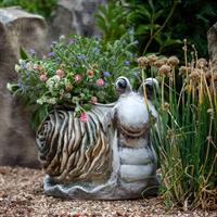 кашпо улитка