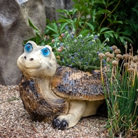 кашпо черепаха