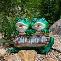 кашпо в ландшафтном дизайне