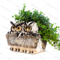 декор территории