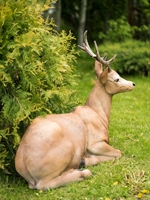 косуля для привлечения внимания клиентов