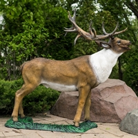 ландшафтный дизайн