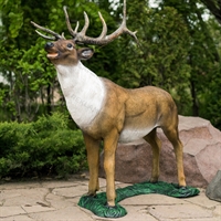 дизайн террритории