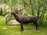 фигура оленя в ландшафте