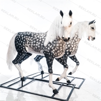 красивые кони