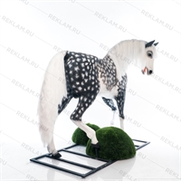 для фотостудий