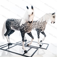 красивые кони для рекламы