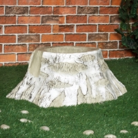 озеленение города