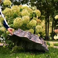 ландшафт с reklam.ru