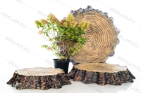 объёмные фигуры для благоустройства территории