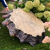 озеленение территории