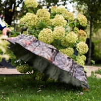 для загородной базы отдыха