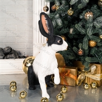 символ 2023 года