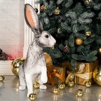 символ 2023 года