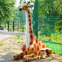 мебель для детского парка